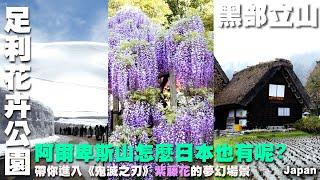 阿爾卑斯山怎麼日本也有呢?帶你進入《鬼滅之刃》紫藤花的夢幻場景~黑部立山旅遊~忍野八海｜飛驒小京都 高山散策｜白川鄉合掌村｜阿爾卑斯之路｜立山黑部｜輕井澤かるいざわ｜足利花卉公園｜日本 Japan