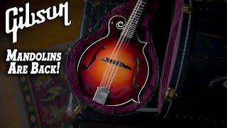 NEW 2023 Gibson F-5G Mandolin Review: Unbelievable Price Drop - Best Value Mandolin?