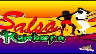 MIX SALSAS RUMBERAS  PARA BAILAR  Y BEBER (DJ PANICO)