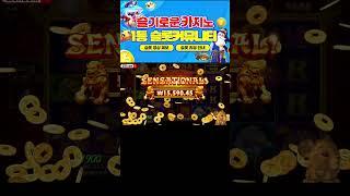 슬기로운카지노 사자의 오라메 현란한 금액조절!! #슬롯 #슬롯머신 #슬카