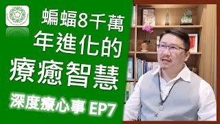 蝙蝠8千萬年進化出來的療癒智慧｜我們一起深度療心事 EP7《亞瑟導師｜深度療心》#病毒 #療癒 #智慧