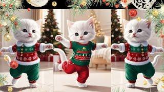 Funny Cat dancing video::  Christmas Dancing #dancingcat #catvideos #funnycat  @furry-cornerz