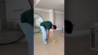 كم بطة في الفيديو ؟