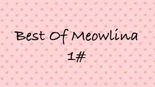 Best of Meowlina #1