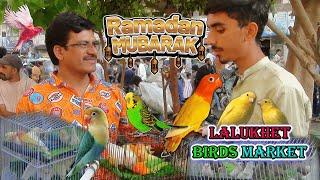 Lalukhet Parrots and Birds Market Karachi 23-2-2025 Latest Update in Urdu | سوق الطيور