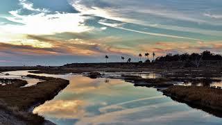 Bolsa Chica Land Trust Live Stream