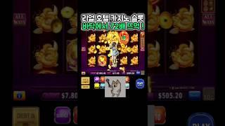 언제, 어디서나 내손안에서 짜릿한 리얼 슬롯을 즐기실수 있습니다! (^,^)   #슬롯추천 #슬롯추천게임 #프라그마틱 #월드슬롯 #슬롯환수율 #슬롯카지노 #슬롯