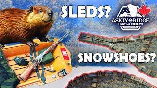 SLEDS, SNOWSHOES & Unknown Species That COULD Be in ALBERTA, CANADA!!!