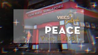 Peace Vicen 11285817 | Whispers of Serenity: Soft Music Bliss