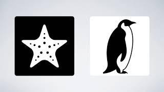 Black and White Flashcards of Animals for Newborn Babies | PlayWorksheet