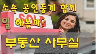 공인중개사  사무소 이야기  부동산 직원 과 함께 일해 볼까?