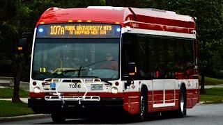 [Ride] Toronto Transit Commission Novabus LFS HEV #7036 | 107 York University Heights