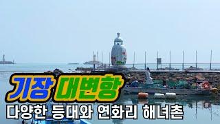 [부산 가볼만한곳 #7] 부산여행의 필수 코스 기장 대변항! 다양한 등대와 해산물을 먹을 수 있는 곳