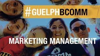 BComm Experience: Marketing Management