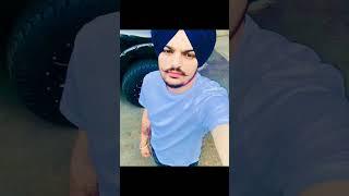 sidhu moose wala  295 sidhu moose wala  #shorts #shortsfeed