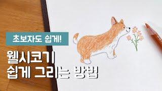 귀여운 강아지 웰시코기 쉽게 그리는 방법 /색연필일러스트