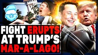 Fight ERUPTS At Trump Mar-A-Lago As Elon Musk Locates MOLE In Cabinet As Democrats Are Up To No Good