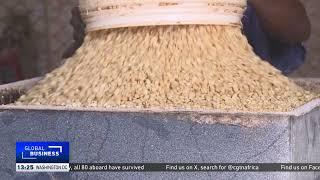 Tanzania becomes Africa's second-largest maize producer
