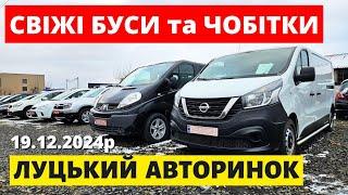 СВІЖІ ЦІНИ НА БУСИ ТА ЧОБІТКИ /// ЛУЦЬКИЙ АВТОРИНОК /// 19.12.2024р. #буси #автопідбір #автобазар