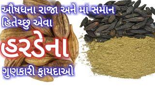 માં સમાન હરડેના ગુણકારી ફાયદાઓ- Benefits Of Harde- Harde Na Fayda- Himej na Fayda- Harde Ke Labh