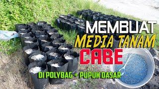 CARA PEMBUATAN MEDIA TANAM UNTUK CABE DI POLYBAG