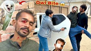 Owl Ny Hamza Shikari Ki Ankh  Nikal De