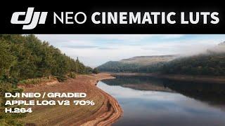 DJI NEO + CINEMATIC LUTS COLOUR GRADING