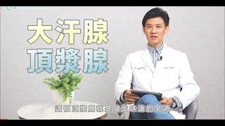 擺脫狐臭別再塗塗抹抹 旋轉刀解決困擾 ft薛榮華醫師