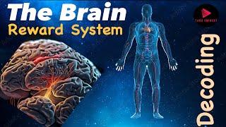 "Unlocking the Secrets of the Brain Reward System"