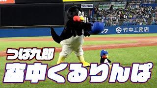 頑張って挑戦！つば九郎空中くるりんぱ｜2024年9月8日 阪神タイガース戦（神宮球場）