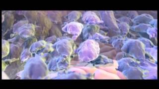 Новая философия жизни - Симбионты Кутушова