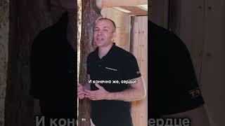 Банная печь Гром 50 в частной бане  #печитехнолит #печьдлябани #баня