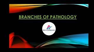 BRANCHES OF PATHOLOGY (ALL)