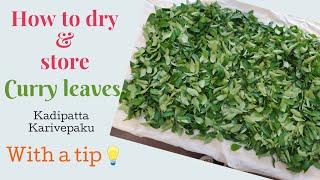 How to dry and store curry leaves for more than 3 to 4 months