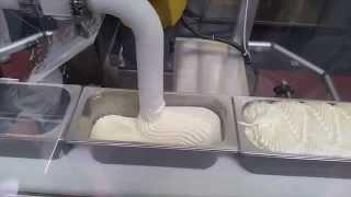 zgsp algerie DR7 ROBOT TECHNOGEL  icecream production