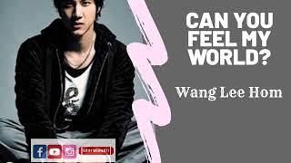 WANG LEE HOM - CAN YOU FEEL MY WORLD