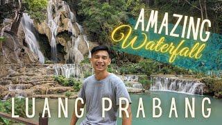 LAOS Luang Prabang – Kuang Si Falls, Buffalo Dairy + Hmong Village