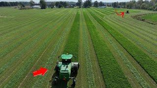 Mowing Hay Starts the Mayhem