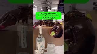Подпишись и возможно Лобстер будет делать коктейль уже тебе  Всем добра! . #рецепт #юмор