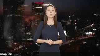 При цикле 28 дней овуляция на какой день