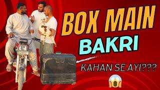 Box main bakri kese gai wait for end 