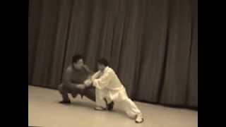 Pushing hands 4, Chen Xiaowang, Chen Bing, tuej shou, taijiquan chen, master taiji