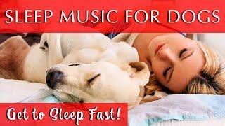 Calming Music for Dogs and Humans to Sleep FAST | 528Hz