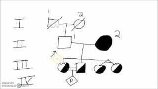 Genetics - How to Draw a Pedigree (Family Tree)