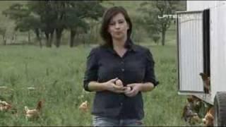 From Farm to Fork