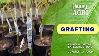 Grafting | Happy sa Agri | November 24, 2024