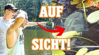 CHALLENGE: Wer fängt zuerst 6 Fischarten auf SICHT! OSA in Mission Angeln!