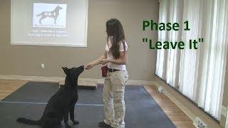 How to Train a Dog to "Leave It" (K9-1.com)