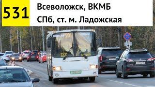 Автобус 531 "Всеволожск, ВКМБ - СПб, ст. м. "Ладожская"