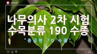 나무의사 2차 시험  수목분류 190여 수종 영상("중급 편" 70 수종)